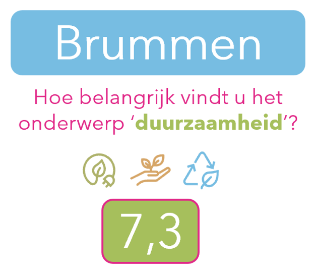 brummen5